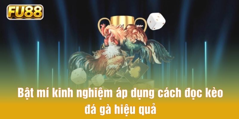 Bật mí kinh nghiệm áp dụng cách đọc kèo đá gà hiệu quả