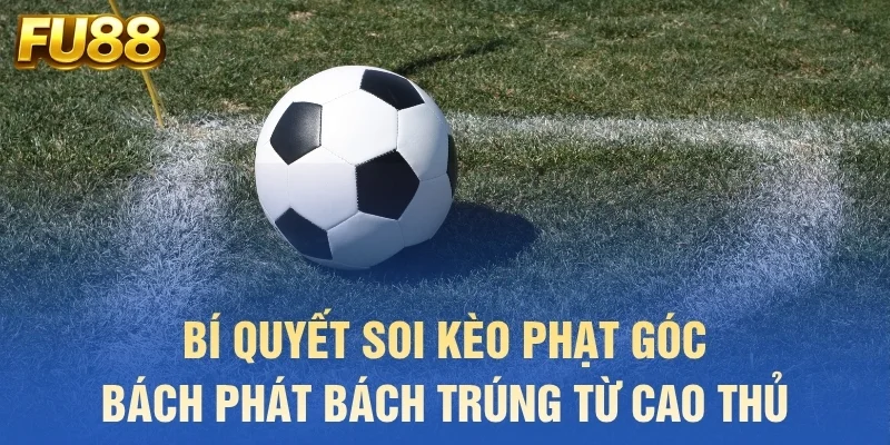 Bí quyết soi kèo phạt góc bách phát bách trúng từ cao thủ