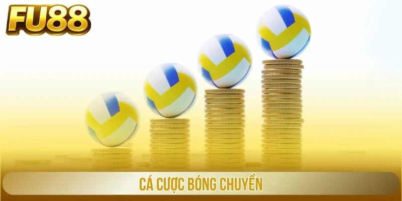 cá cược bóng chuyền