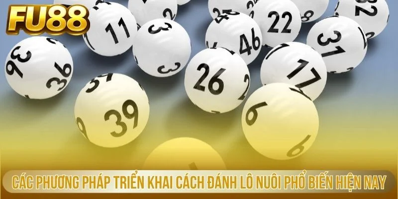 Các phương pháp triển khai cách đánh lô nuôi phổ biến hiện nay