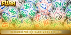 cách đánh lô nuôi hiệu quả cho người mới tại fu88