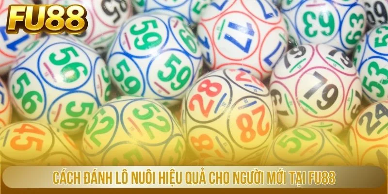 cách đánh lô nuôi hiệu quả cho người mới tại fu88