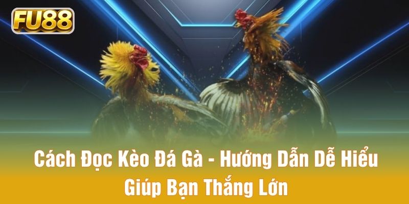 cách đọc kèo dá gà hướng dẫn dễ hiểu giúp bạn thắng lớn