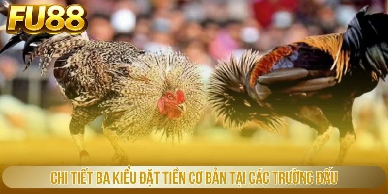 Chi tiết ba kiểu đặt tiền cơ bản tại các trường đấu
