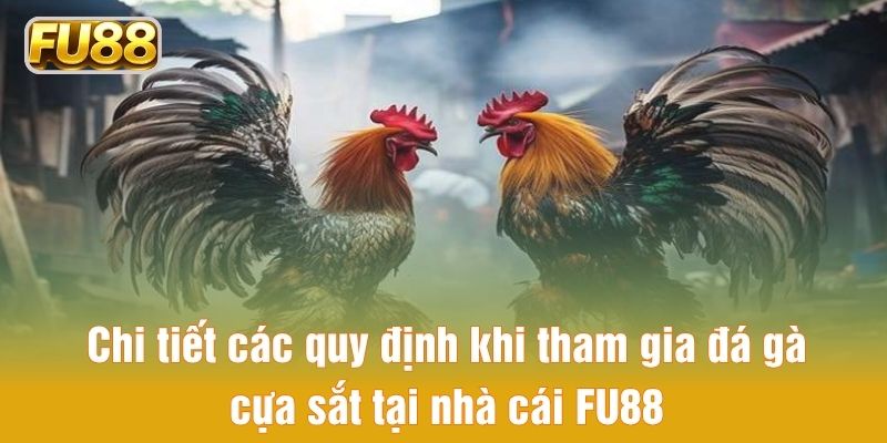 Chi tiết các quy định khi tham gia đá gà cựa sắt tại nhà cái FU88