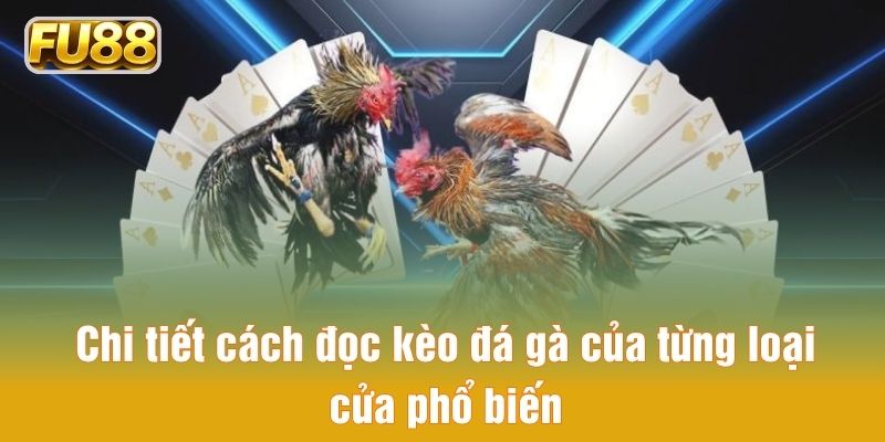 Chi tiết cách đọc kèo đá gà của từng loại cửa phổ biến