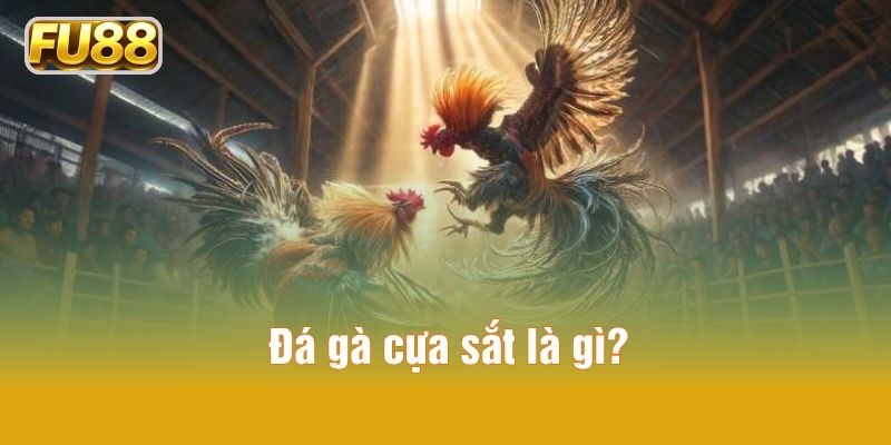 Đá gà cựa sắt là gì?