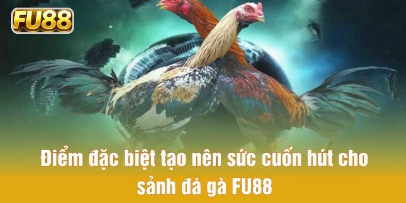 Điểm đặc biệt tạo nên sức cuốn hút cho sảnh đá gà FU88