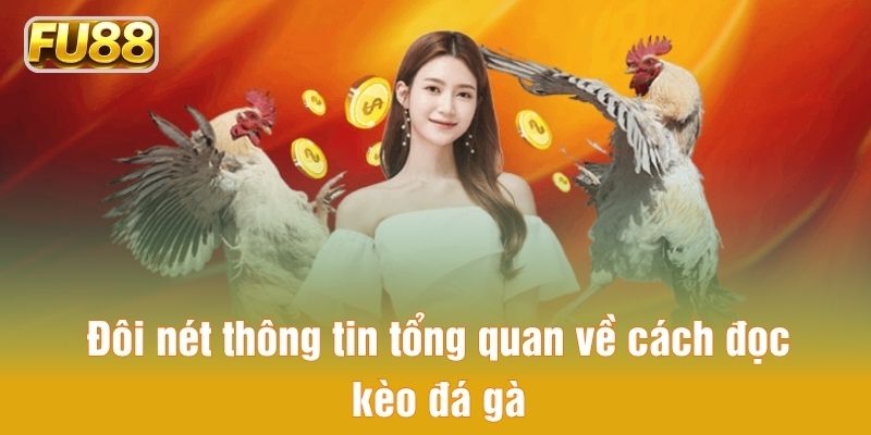 Đôi nét thông tin tổng quan về cách đọc kèo đá gà