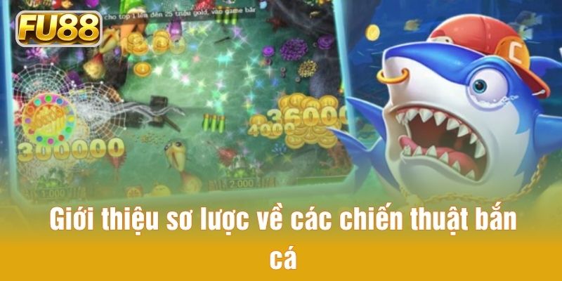 Giới thiệu sơ lược về các chiến thuật bắn cá