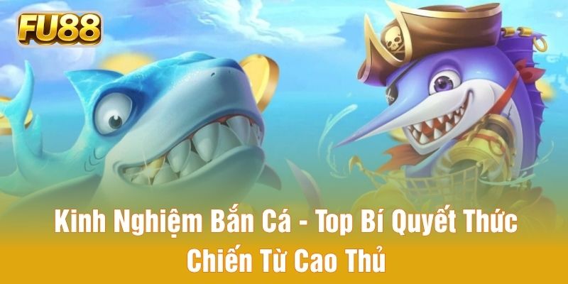 kinh nghiệm bắn cá top bí quyết thực chiến từ cao thủ