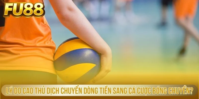 Lý do cao thủ dịch chuyển dòng tiền sang cá cược bóng chuyền?
