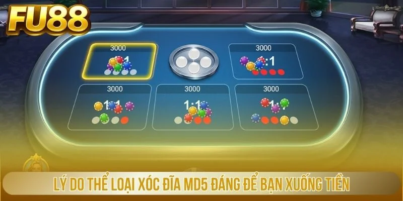 Lý do thể loại xóc đĩa MD5 đáng để bạn xuống tiền