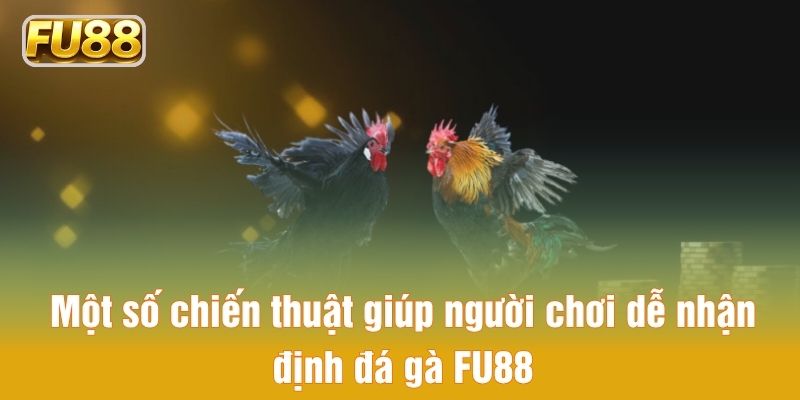 Một số chiến thuật giúp người chơi dễ nhận định đá gà FU88