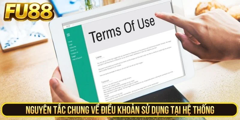 Nguyên tắc chung về điều khoản sử dụng tại hệ thống