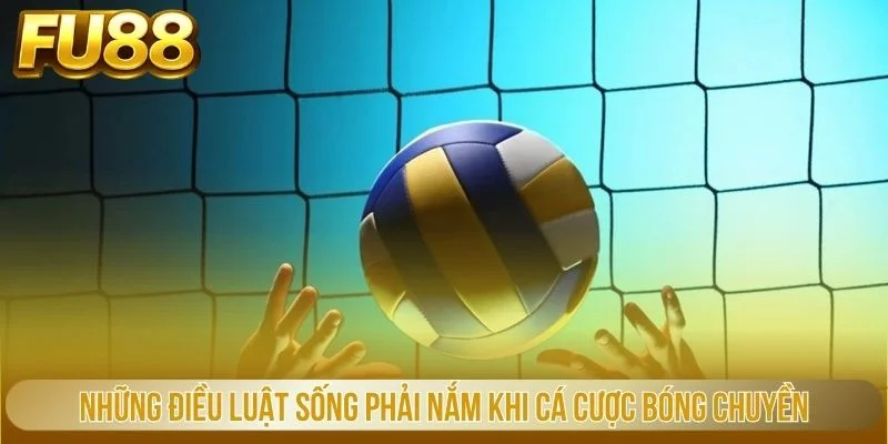 Những điều luật sống phải nắm khi cá cược bóng chuyền