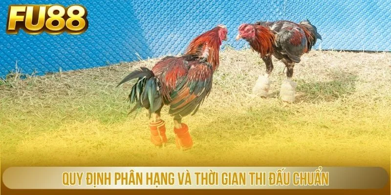 Quy định phân hạng và thời gian thi đấu chuẩn
