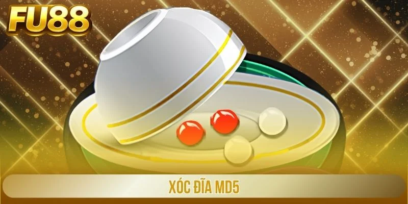 xóc đĩa md5